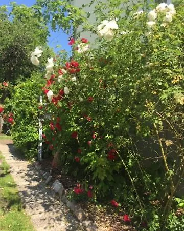 Guest house Gast-& Logierhaus Am Rheinsberger