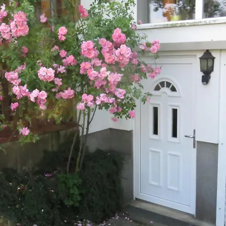 Gast-& Logierhaus Am Rheinsberger 4*