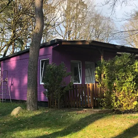 Gast-& Logierhaus Am Rheinsberger Guest house