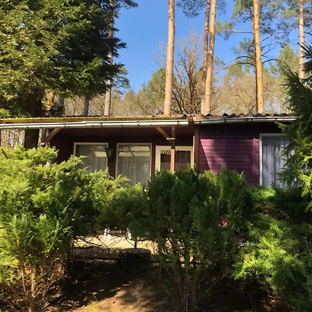 Gast-& Logierhaus Am Rheinsberger Guest house