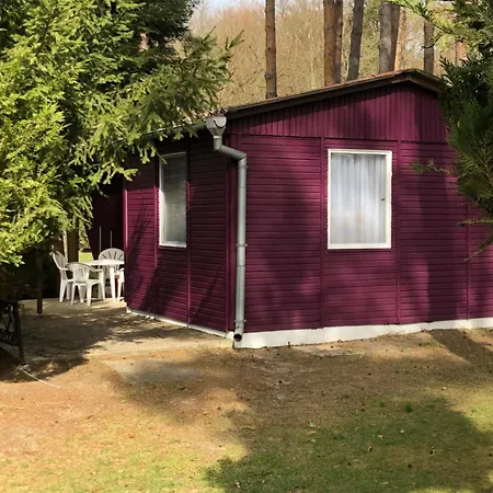 Gast-& Logierhaus Am Rheinsberger *