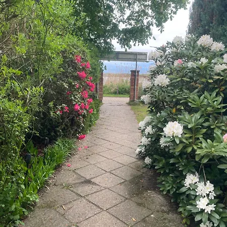 Gast-& Logierhaus Am Rheinsberger Maison d'hôtes