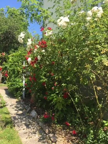 Casa de hóspedes Gast-& Logierhaus Am Rheinsberger