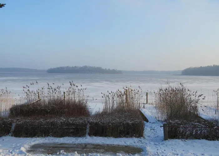 Gast-& Logierhaus Am Rheinsberger Casa de hóspedes