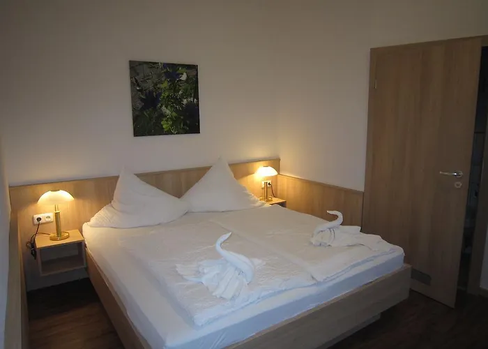 莱茵贝格湖宾客酒店 4* 赖因斯贝格